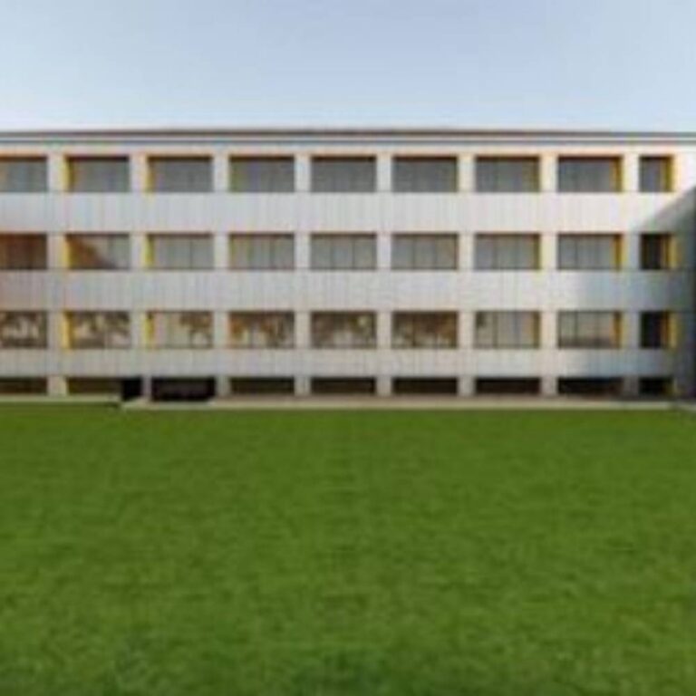 Fenix lavoro 2